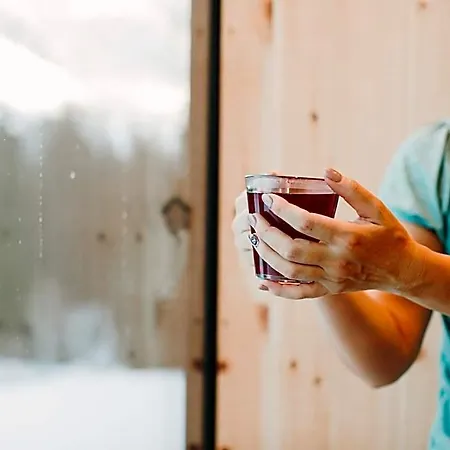 Alpin - & Hotell Warth (Vorarlberg)
