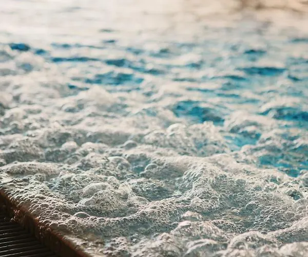 Hotel Alpin - & Warth (Vorarlberg)